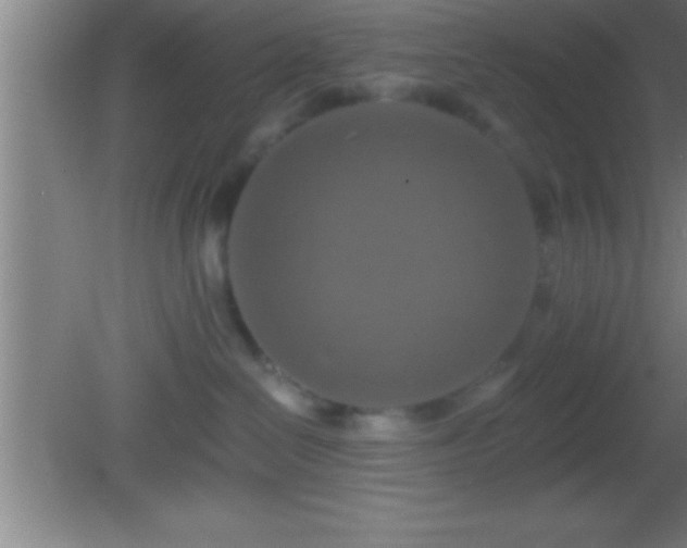 X0000081600286200701221144