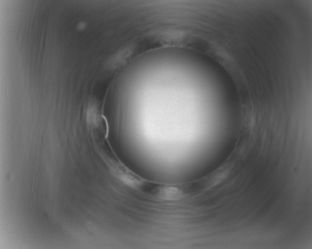 X0000081600287200701221144