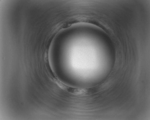 X0000081600288200701221144