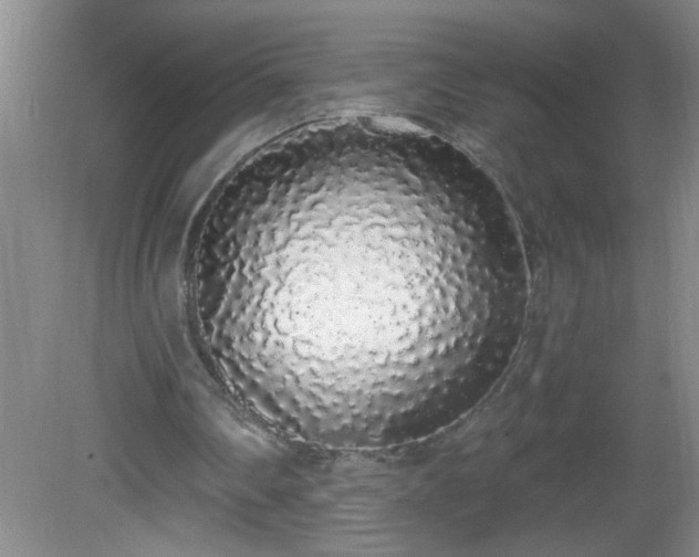 X0000081600290200701221143