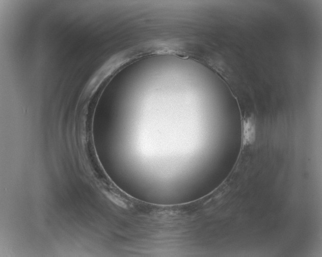 X0000081600291200701221143