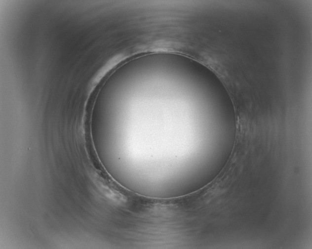 X0000081600292200701221143