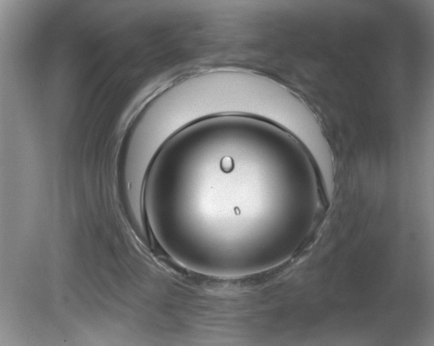 X0000081600293200701221143