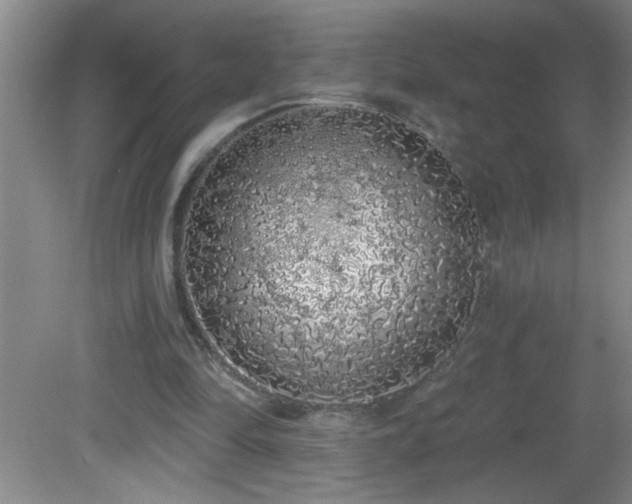 X0000081600294200701221143