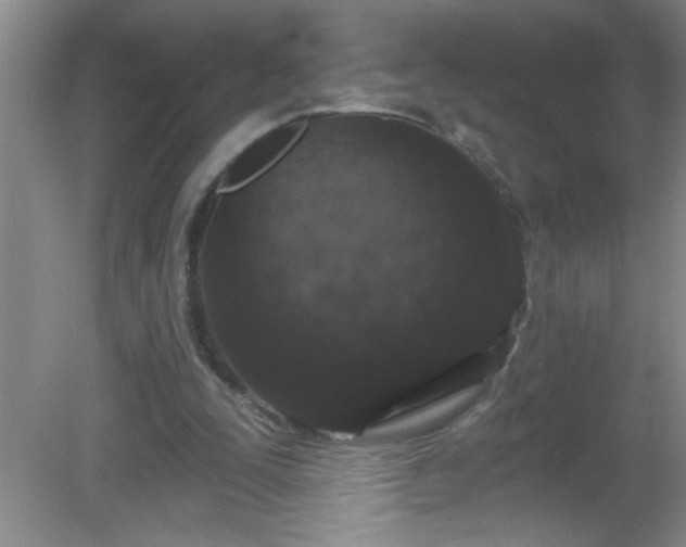 X0000081600295200701221143