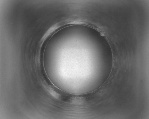 X0000081600296200701221143