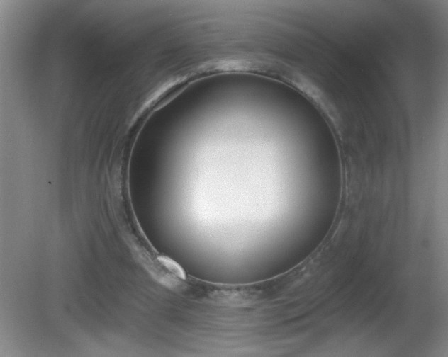 X0000081600297200701221143