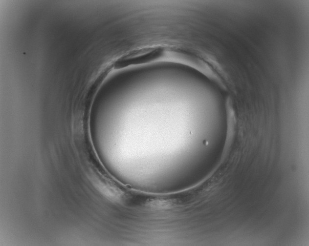 X0000081600299200701221143