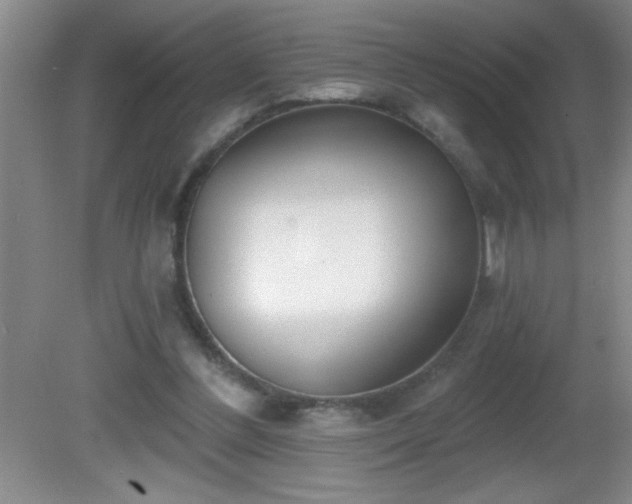 X0000081600300200701221143