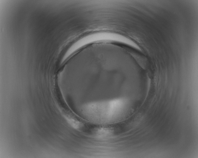 X0000081600303200701221143