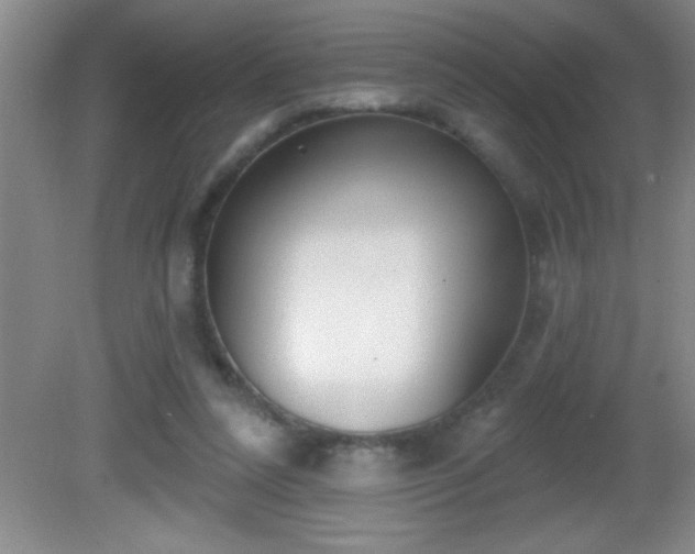 X0000081600304200701221143