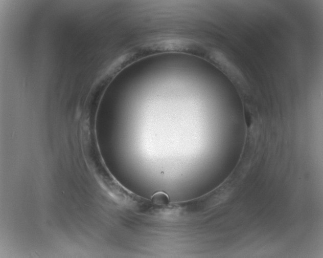 X0000081600306200701221143