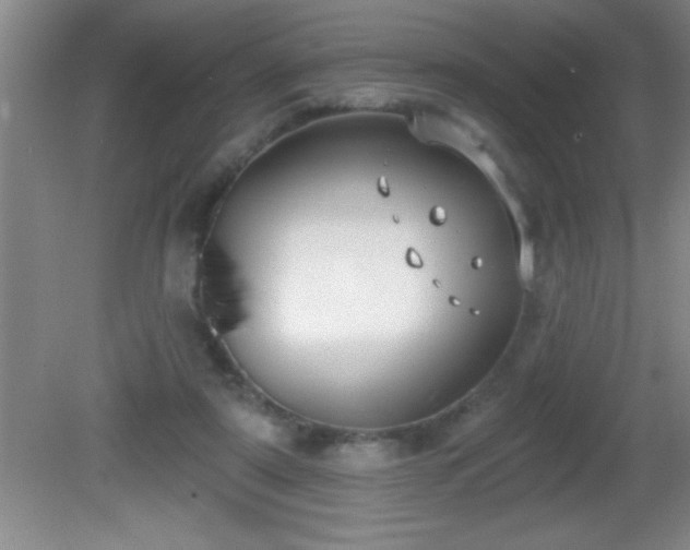 X0000081600307200701221143