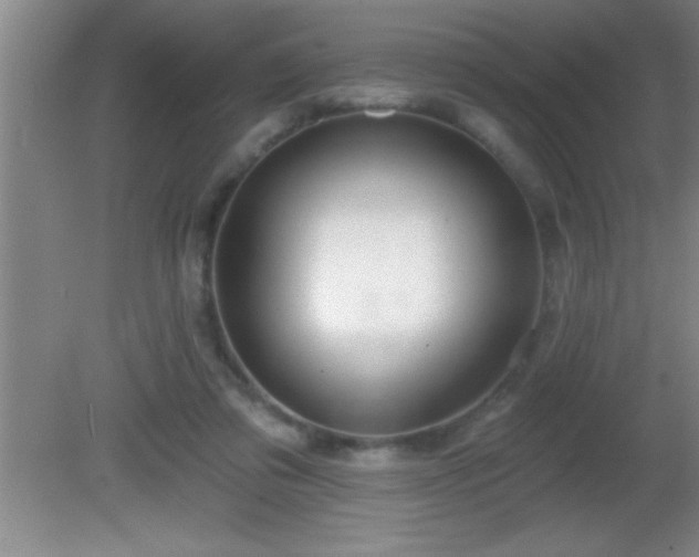 X0000081600309200701221143