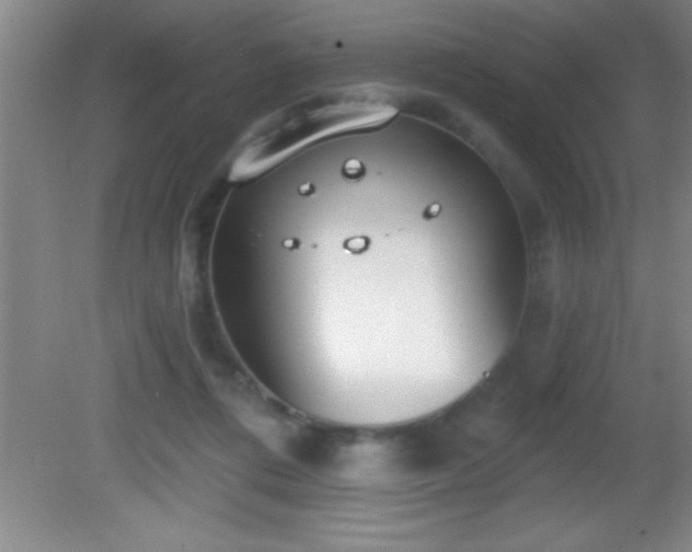 X0000081600312200701221143