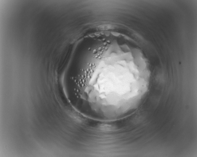 X0000081600315200701221143