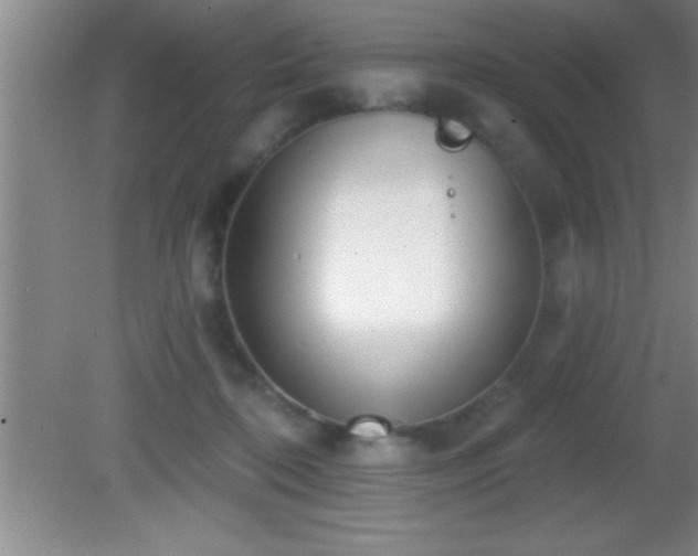 X0000081600316200701221143