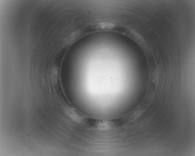 X0000081600321200701221143