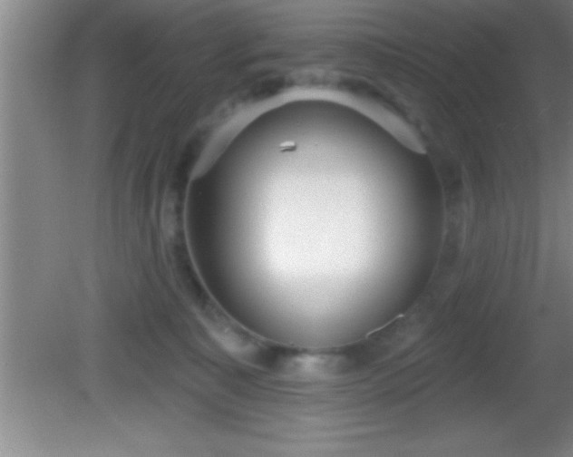 X0000081600323200701221143