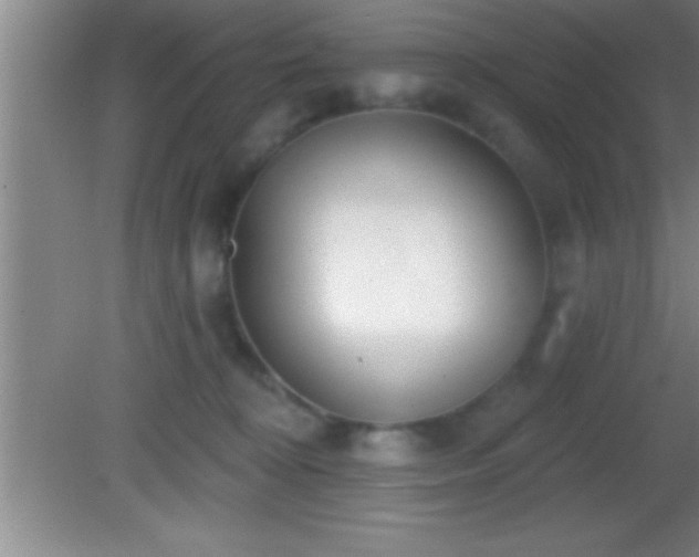 X0000081600324200701221143