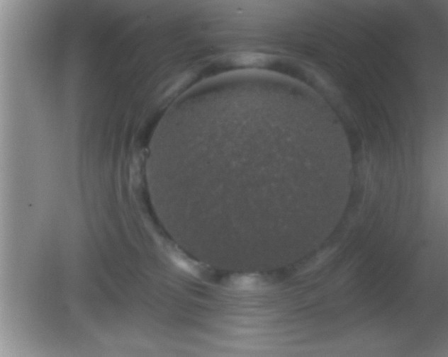 X0000081600325200701221143