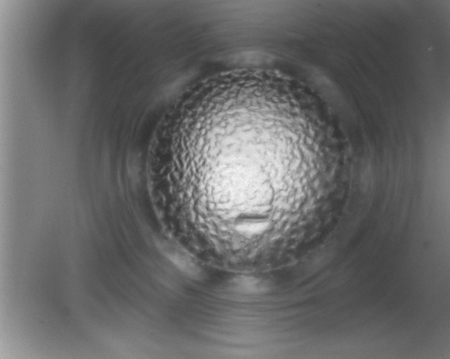 X0000081600326200701221143