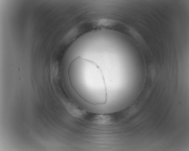 X0000081600328200701221143