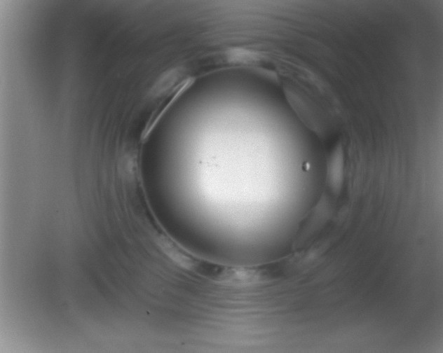 X0000081600329200701221143