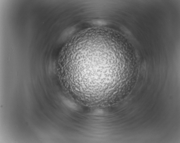 X0000081600330200701221143