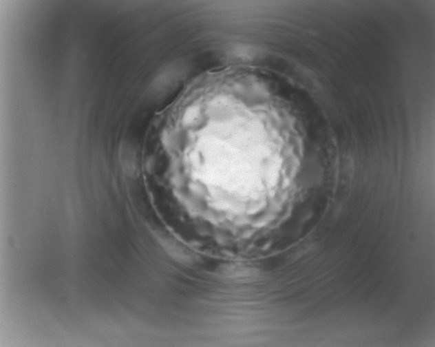 X0000081600331200701221143