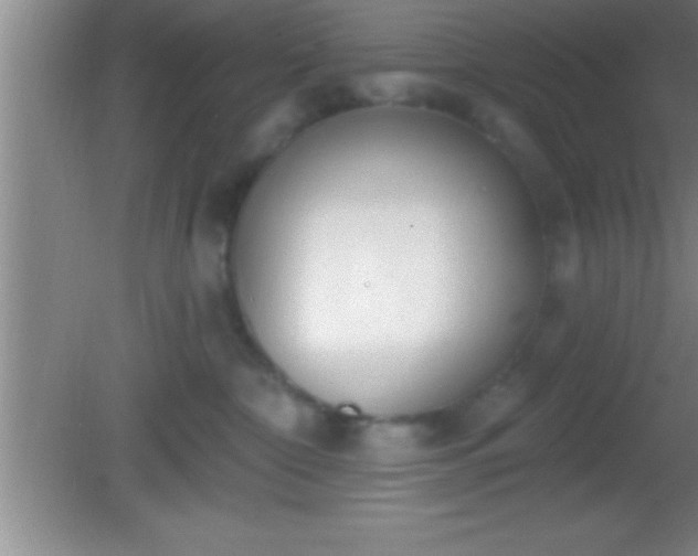 X0000081600332200701221143