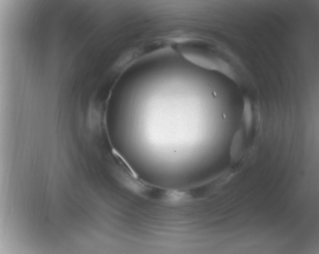 X0000081600333200701221143