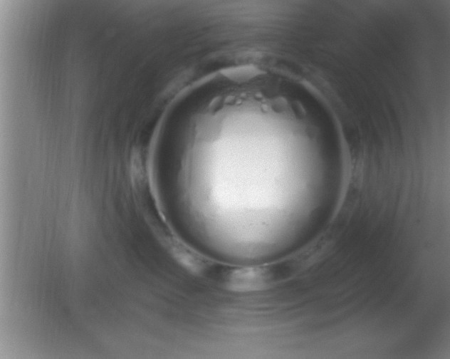 X0000081600335200701221143