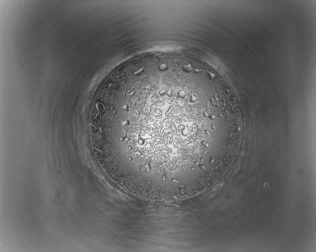 X0000081600337200701221142