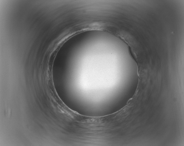 X0000081600338200701221142