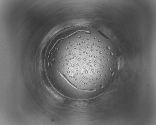 X0000081600339200701221142