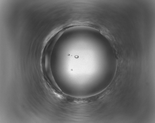 X0000081600340200701221142