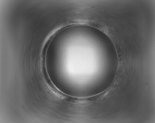 X0000081600342200701221142