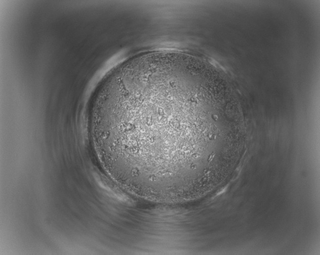 X0000081600343200701221142