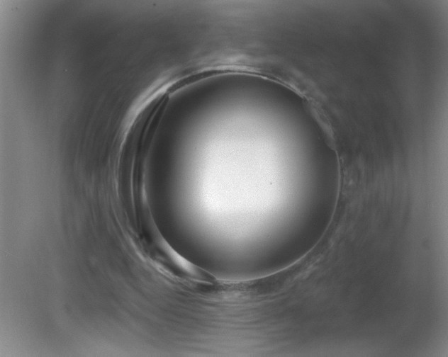 X0000081600344200701221142