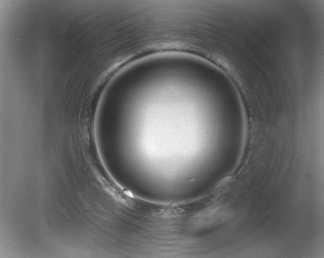 X0000081600345200701221142