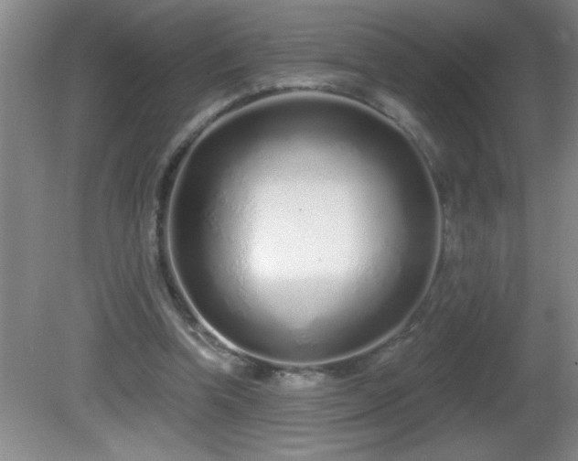 X0000081600346200701221142