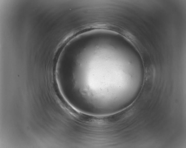 X0000081600349200701221142