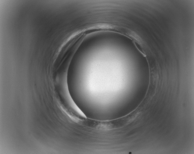 X0000081600350200701221142