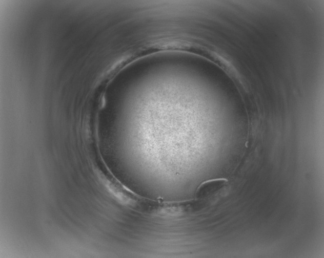 X0000081600353200701221142