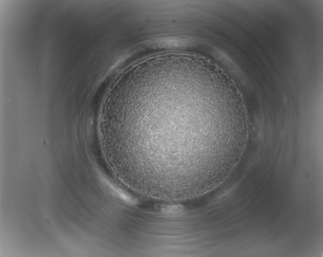 X0000081600355200701221142