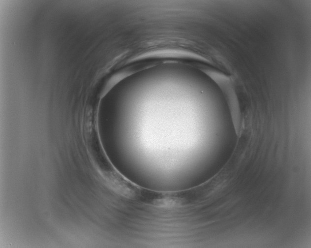 X0000081600356200701221142