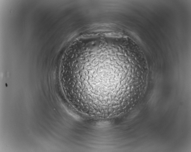 X0000081600357200701221142