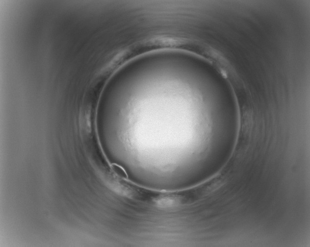 X0000081600358200701221142