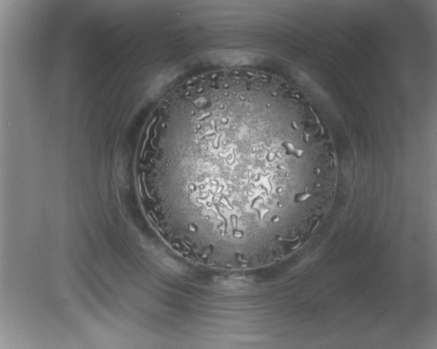 X0000081600359200701221142